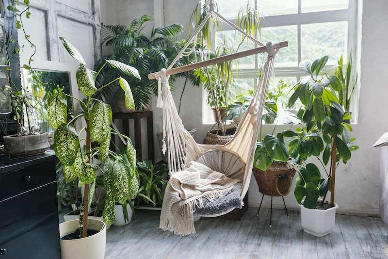 Biophilic Bliss: Crafting a Nature-Inspired Haven for Your Home